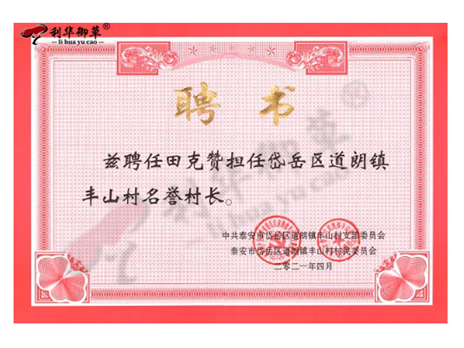 岱岳區(qū)道朗鎮(zhèn)豐山村聘書