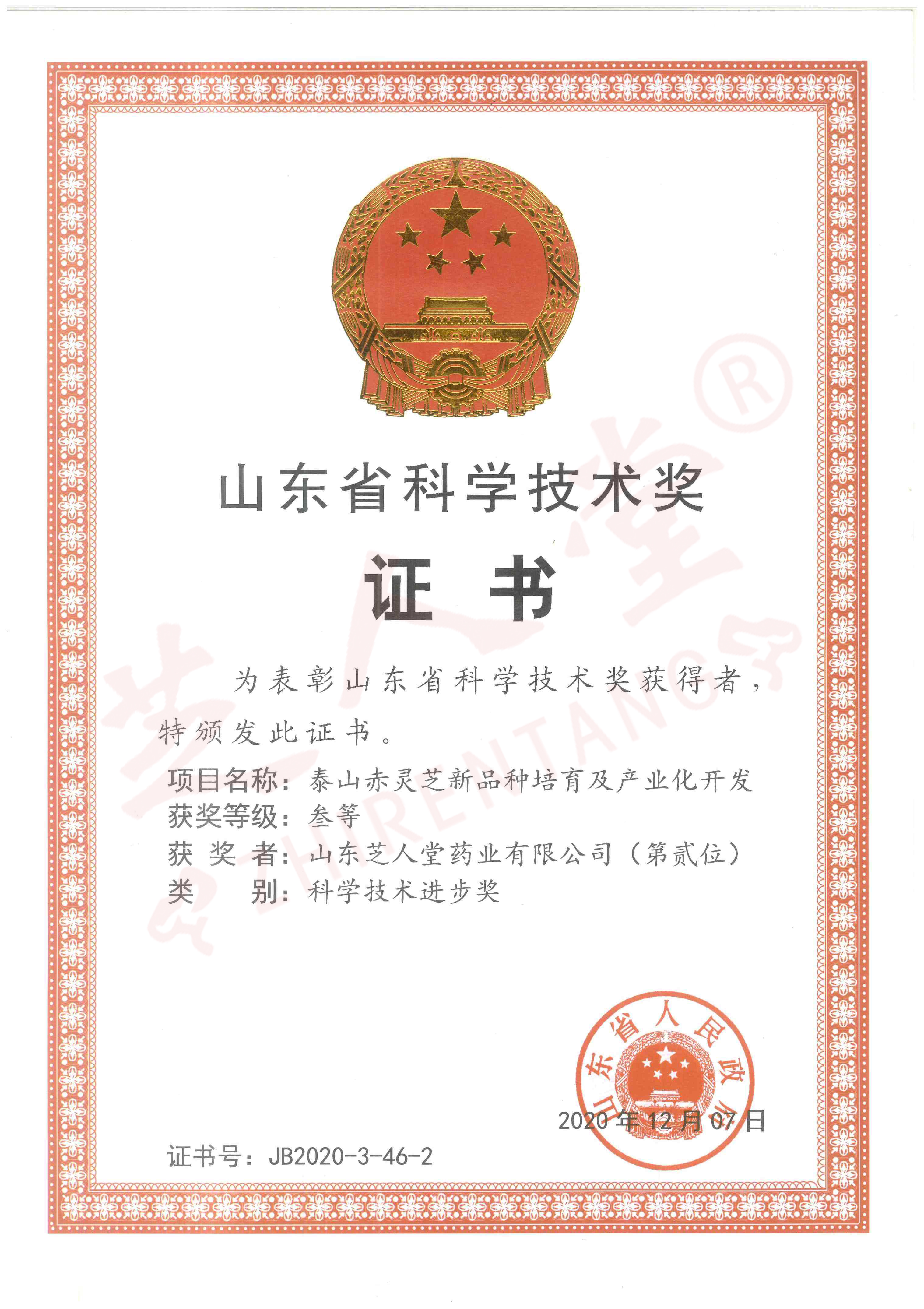 企業(yè)榮譽(yù)(圖9)