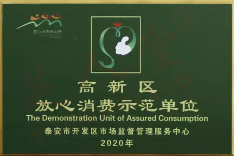 企業(yè)榮譽(yù)(圖26)