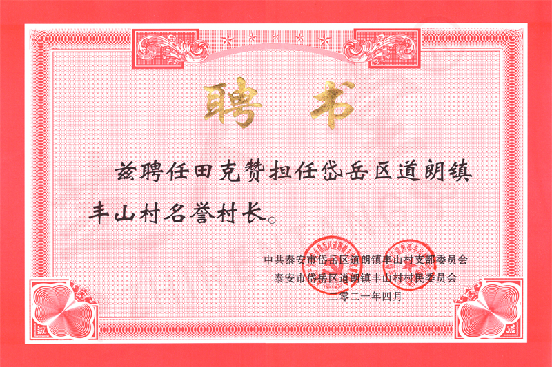 企業(yè)榮譽(yù)(圖27)