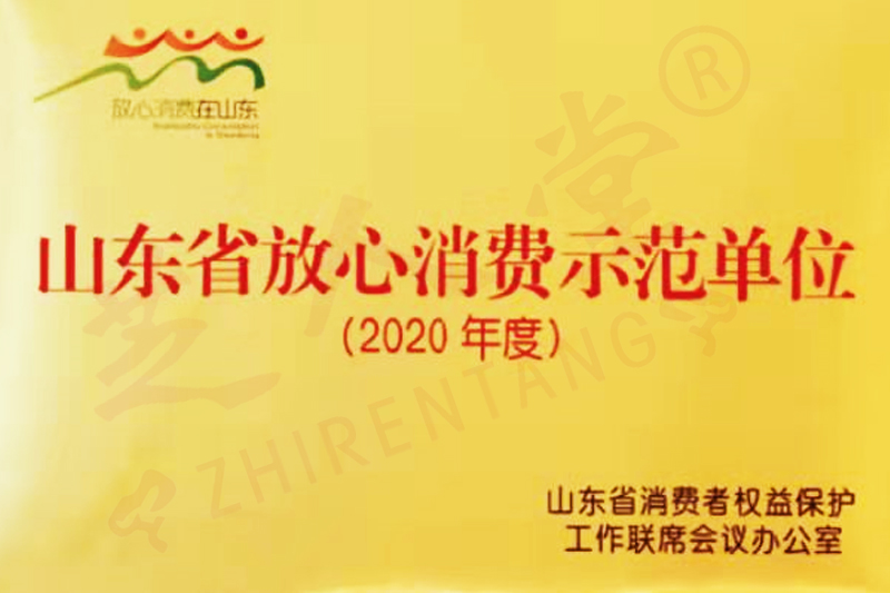 企業(yè)榮譽(yù)(圖29)