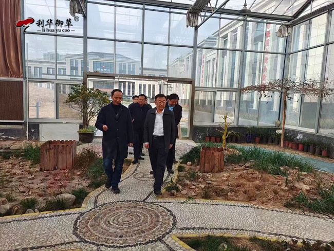 泰安市副市長馬保文