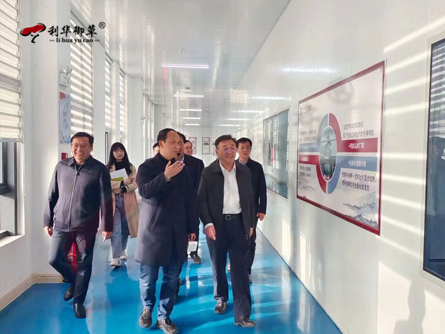 泰安市副市長馬保文蒞臨利華御草靈芝產(chǎn)業(yè)園調(diào)研指導(dǎo)工作