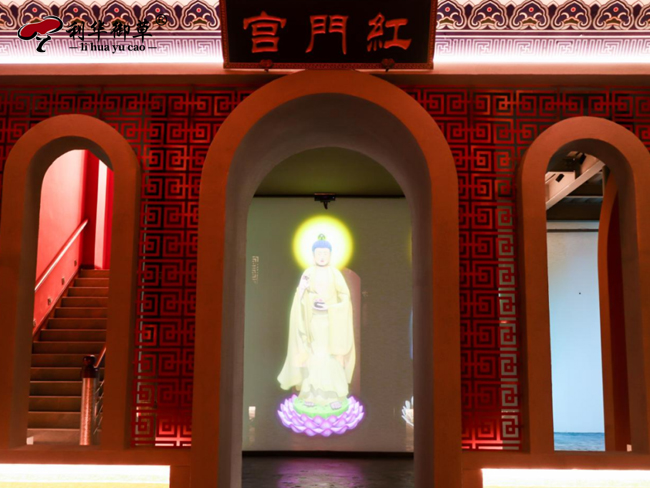 開館慶典丨全國首家互動沉浸靈芝文化館，高科技讓靈芝文化“動”起來(圖6)