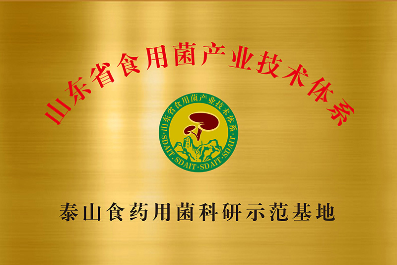 企業(yè)榮譽(yù)(圖3)