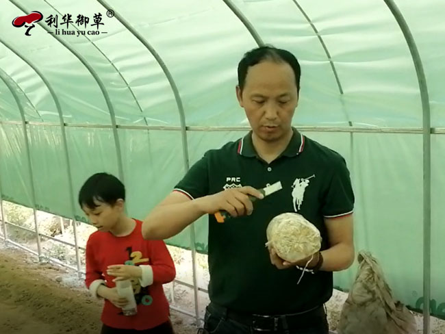 喜報:芝人堂董事長田克贊獲評2022年度“齊魯鄉(xiāng)村之星”(圖2)