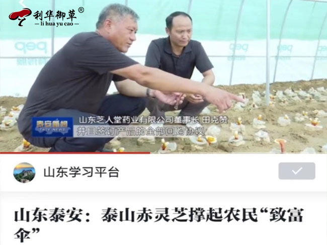 喜報:芝人堂董事長田克贊獲評2022年度“齊魯鄉(xiāng)村之星”(圖3)