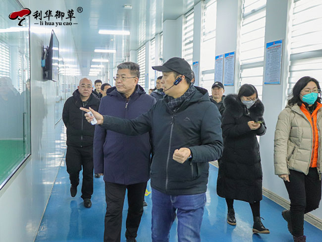泰安市泰山文化傳承與高質(zhì)量發(fā)展推進(jìn)委員會(huì)領(lǐng)導(dǎo)專家一行蒞臨芝人堂考察指導(dǎo)