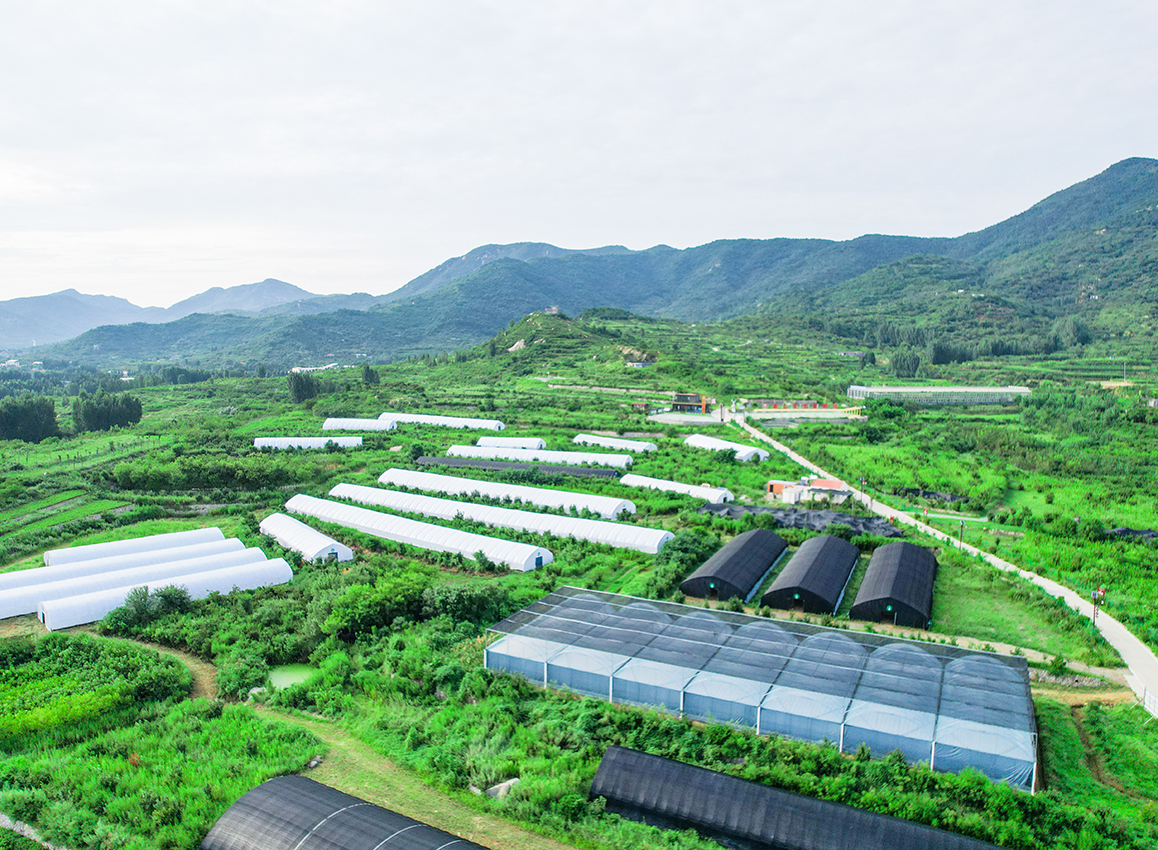 種植基地