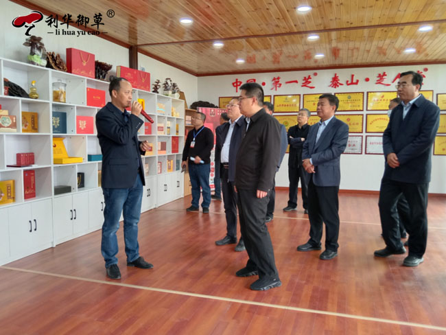 山東省"百人林下經(jīng)濟(jì)現(xiàn)場(chǎng)觀摩團(tuán)"蒞臨芝人堂靈芝谷調(diào)研