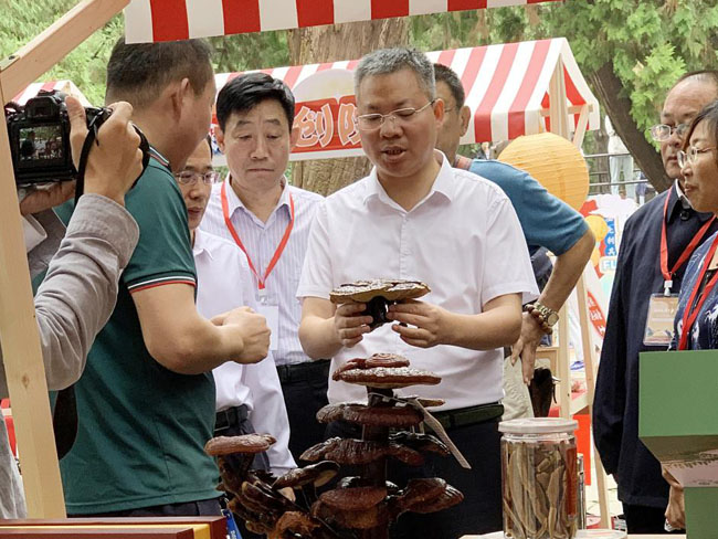 芝人堂在泰山旅拍國潮文化季上一展風(fēng)采