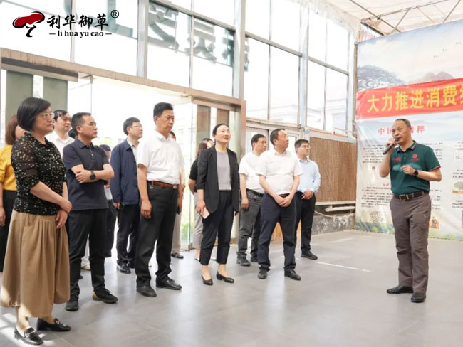 陜西安康政協(xié)蒞臨芝人堂調(diào)研中醫(yī)藥發(fā)展