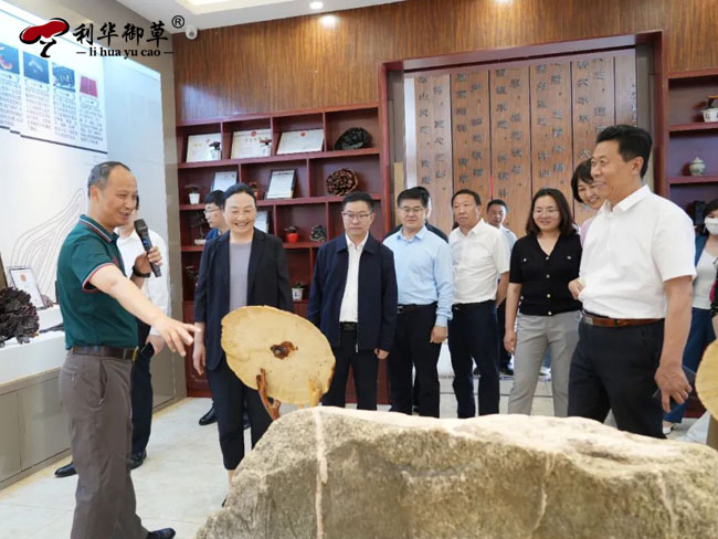 陜西安康政協(xié)蒞臨芝人堂調(diào)研中醫(yī)藥發(fā)展